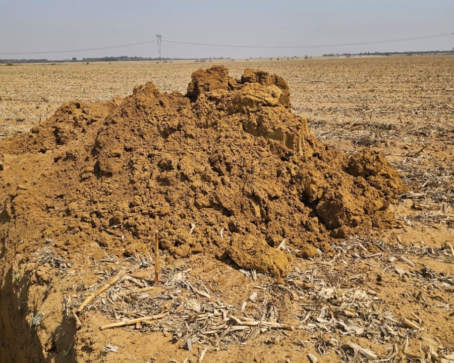 0 Bedroom Property for Sale in Hoopstad Rural Free State